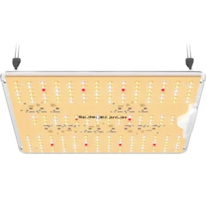 Boost your plant growth with the Spider Farmer LED Grow Light — full-spectrum, energy-efficient, and perfect for indoor growing.