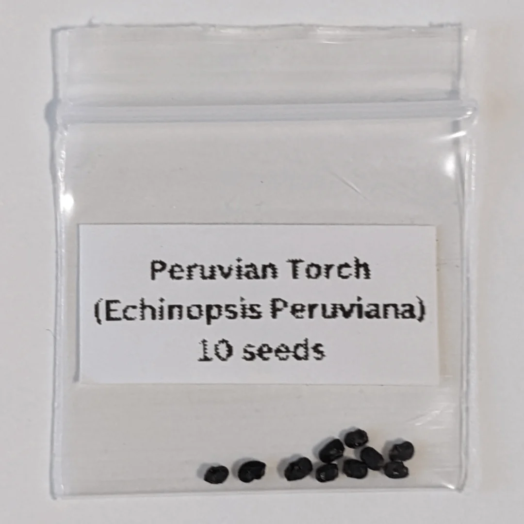 peruvian torch cactus seeds - Image 2