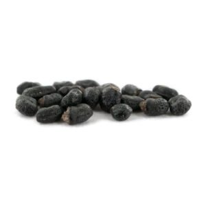 Buy San Pedro Cactus seeds (Echinopsis pachanoi) online. High-quality seeds for collectors and enthusiasts. Grow your own striking sacred cactus.