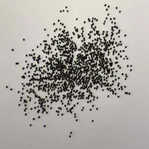 Shop premium lophophora diffusa seeds at Sacred Cactus. Fresh, high-quality seeds from healthy parent plants with easy germination and great results for collectors.