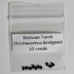 Buy Bolivian Torch seeds (Trichocereus bridgesii), a rare ornamental cactus admired by collectors. Fast growing, premium quality seeds with high germination rates.