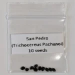 premium San Pedro cactus seeds (Echinopsis pachanoi) with high germination rates. Perfect for collectors and growers. Fast shipping, secure checkout.