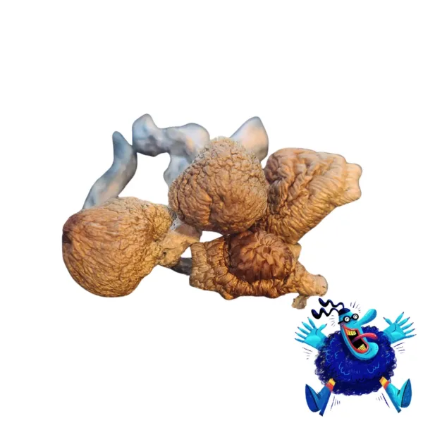 Blue Meanie buy Blue Meanie Mushrooms known for its intense effects, vivid visuals, and strong euphoria. Perfect for seasoned users seeking a powerful and mind-expanding experience. Buy online now with fast, discreet shipping