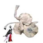 buy Albino Jedi Mind Fuck mushroom known for its intense visuals and deep introspective effects. Perfect for experienced users seeking a mind-expanding journey. Buy online now with fast, discreet shipping