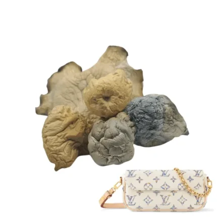 buy Albino Bluey Vuitton mushroom known for its potent effects and striking appearance. Perfect for experienced users seeking a powerful and enlightening experience. Buy online today for fast, discreet shipping