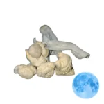 buy Blue Moon Mushrooms known for its intense, lucid experiences and uplifting effects. Ideal for those seeking a deep, transformative journey. Buy online now with fast, discreet shipping